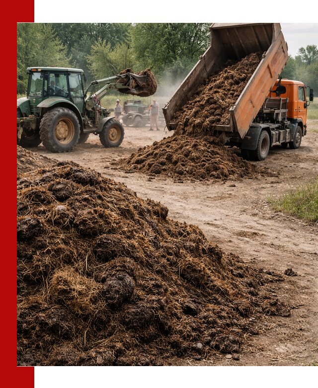 Доставка навоза самосвалами в Малоярославце для сельхозпотребностей